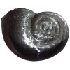 011 0808 Wall Decoration Snail